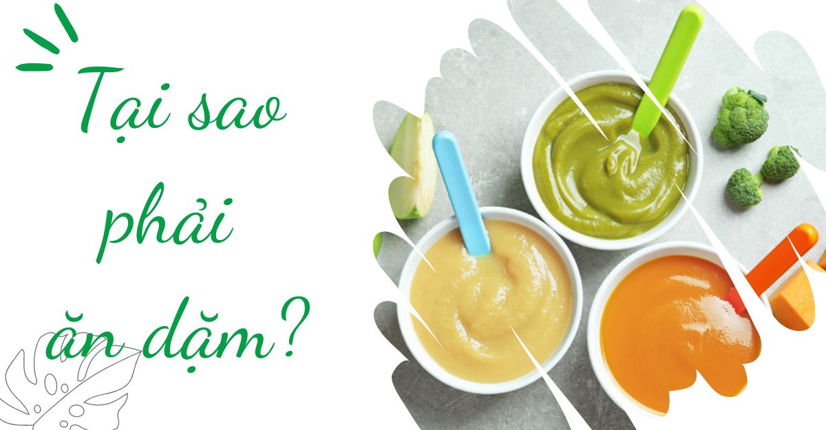 5 shop bán đồ ăn dặm uy tín trên Shopee dành cho bạn 12 Tại sao phải ăn dặm?