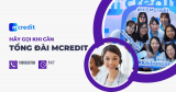 Tổng đài mcredit là gì? Vay tiền ở mcredit như thế nào?